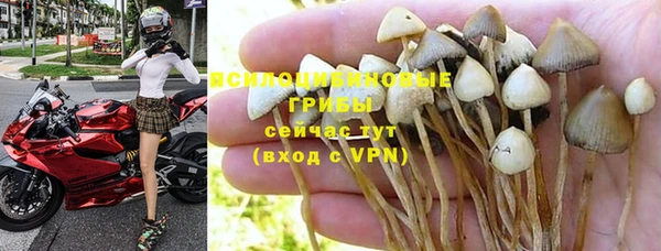 молекула духа Абаза