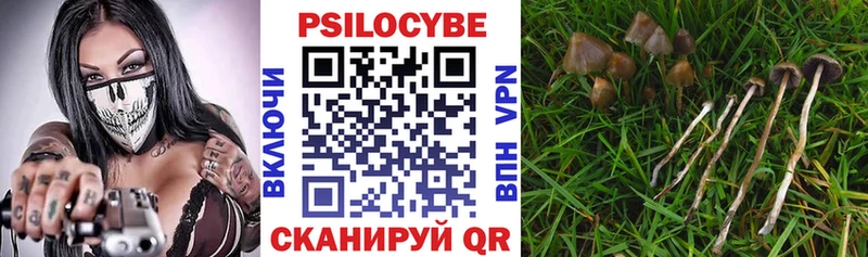 Галлюциногенные грибы прущие грибы  гидра как войти  Десногорск 